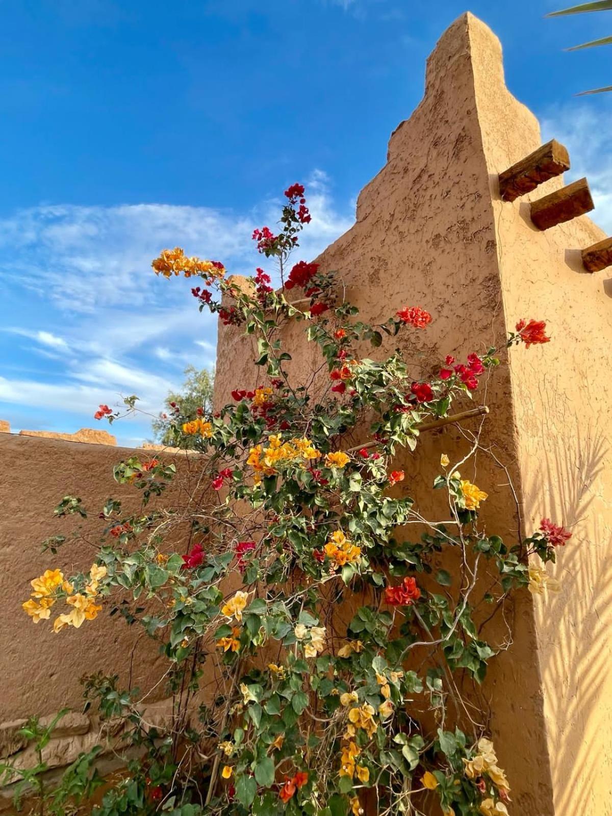 Auberge Kasbah Dar Sahara Tours Mhamid Kültér fotó